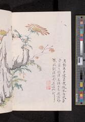 Go to image 180.