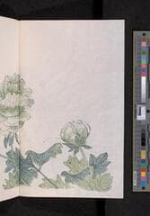 Go to image 324.