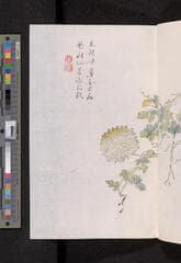 Go to image 139.