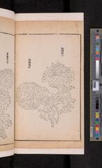 Go to image 382.