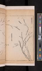 Go to image 280.