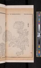 Go to image 384.