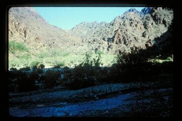 Diamond Creek