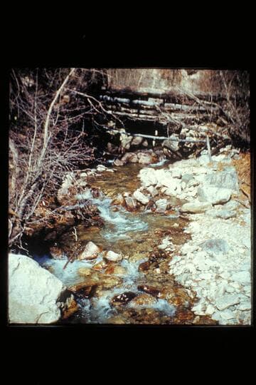 Stream