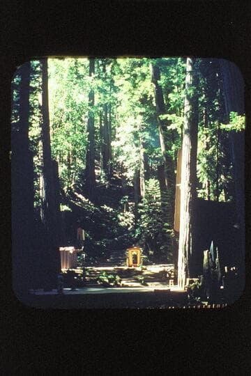 Grove play stage