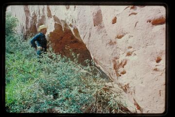 Cave; Roost Canyon