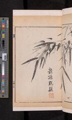 Go to image 221.