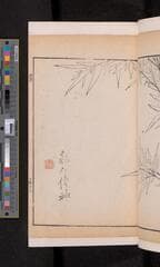 Go to image 219.