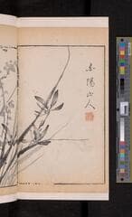 Go to image 106.