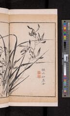 Go to image 114.