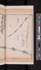 Go to image 158.