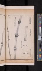 Go to image 156.