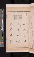 Go to image 87.