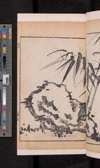 Go to image 211.