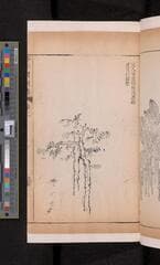 Go to image 155.