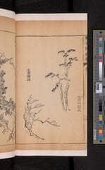 Go to image 116.