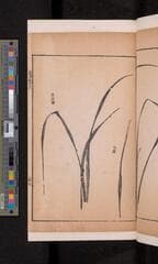 Go to image 69.