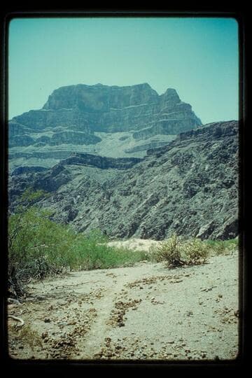 Up Diamond Creek
