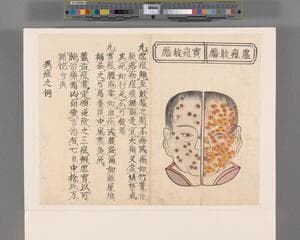Go to image 32.