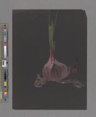 Go to image 145.