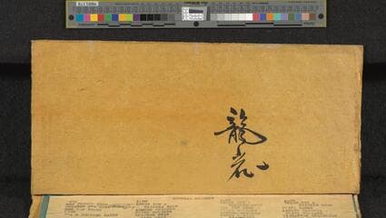 Go to image 46.