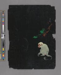 Go to image 213.