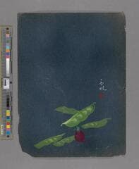 Go to image 215.