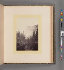 Go to image 195.