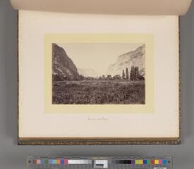 Go to image 111.