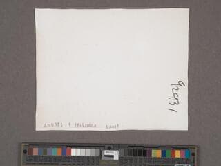 Go to image 120.