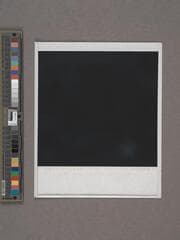Go to image 41.