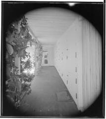 Go to image 2.