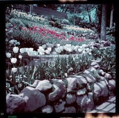 Go to image 2.