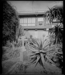 Go to image 15.