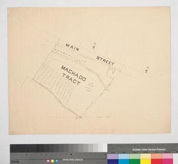 Machado Tract