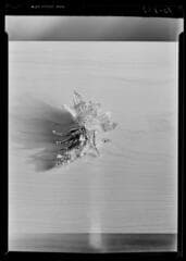 Go to image 38.