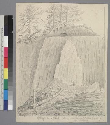 Cliff Gold Bluffs