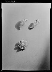 Go to image 6.
