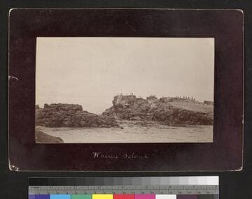 Walrus Island