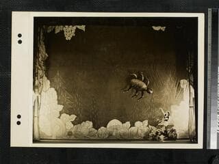 Go to image 9.