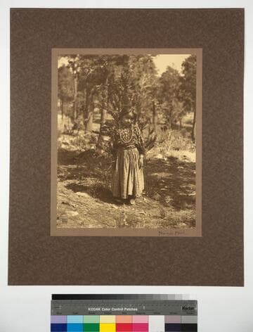 Navajo Maid