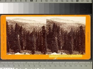 Go to image 1.