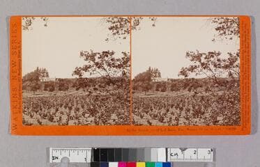 Go to image 1.