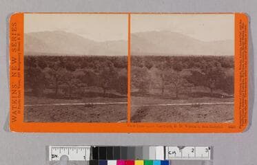 Go to image 1.