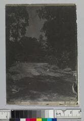 Go to image 1.