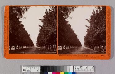 Go to image 1.