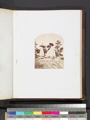 Go to image 65.