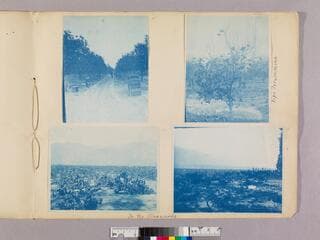 Go to image 13.