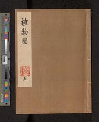 Go to image 63.