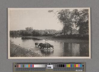 Go to image 137.